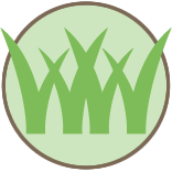 Joes Poison Ivy Removal