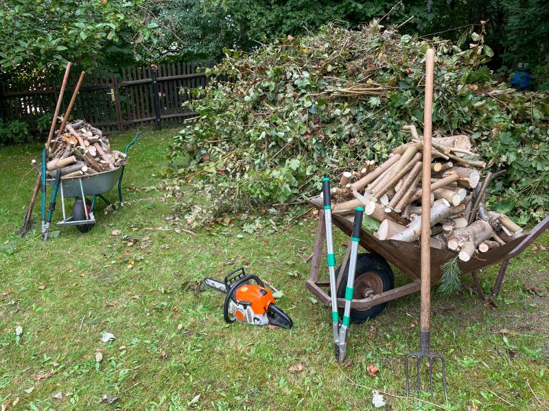 Removing Lawn Debris