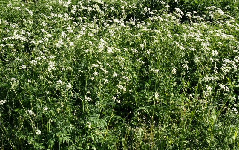 Common Pitfall to Avoid